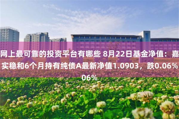 网上最可靠的投资平台有哪些 8月22日基金净值：嘉实稳和6个月持有纯债A最新净值1.0903，跌0.06%