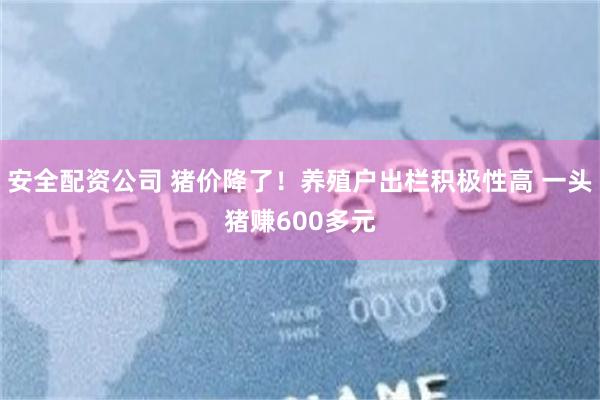 安全配资公司 猪价降了！养殖户出栏积极性高 一头猪赚600多元