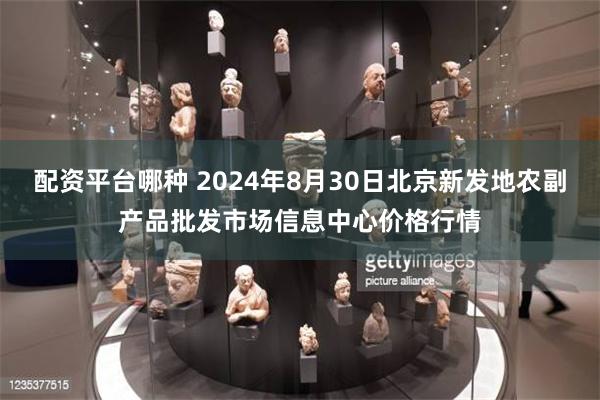 配资平台哪种 2024年8月30日北京新发地农副产品批发市场信息中心价格行情