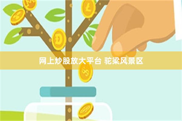 网上炒股放大平台 驼梁风景区