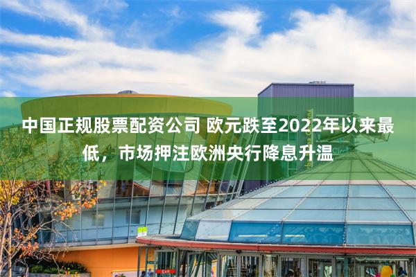 中国正规股票配资公司 欧元跌至2022年以来最低，市场押注欧洲央行降息升温