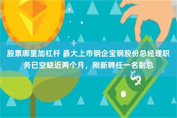 股票哪里加杠杆 最大上市钢企宝钢股份总经理职务已空缺近两个月，刚新聘任一名副总