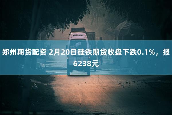 郑州期货配资 2月20日硅铁期货收盘下跌0.1%，报6238元