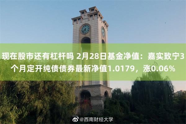 现在股市还有杠杆吗 2月28日基金净值：嘉实致宁3个月定开纯债债券最新净值1.0179，涨0.06%