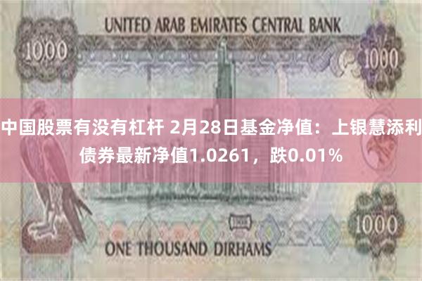 中国股票有没有杠杆 2月28日基金净值：上银慧添利债券最新净值1.0261，跌0.01%