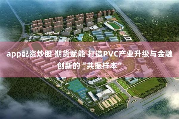 app配资炒股 期货赋能 打造PVC产业升级与金融创新的“共振样本”