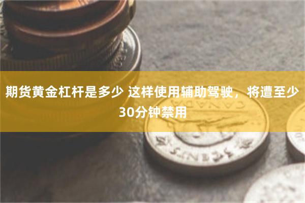 期货黄金杠杆是多少 这样使用辅助驾驶，将遭至少30分钟禁用